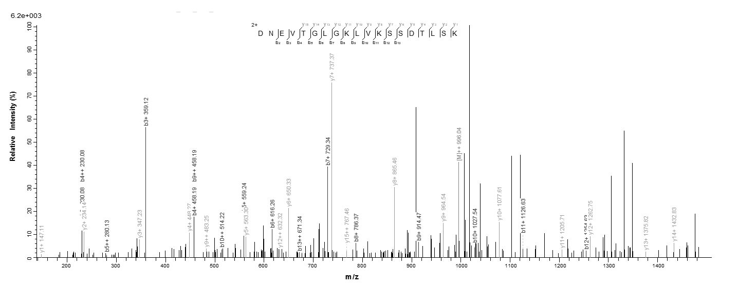 Bacteria tbp1 protein