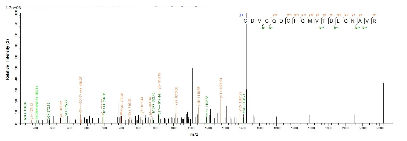 Porcine PSAP protein