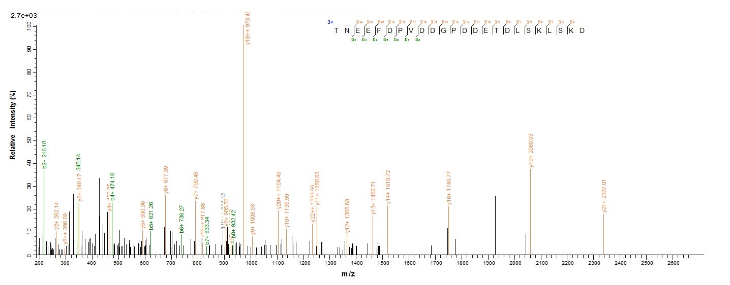 Virus PS/HR protein