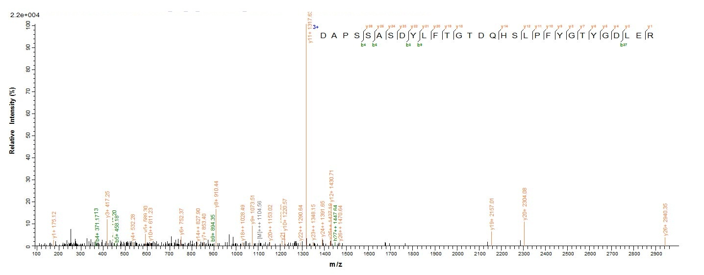 Plant Abrus precatorius Abrin-a protein