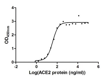 Human Novel Coronavirus Spike glycoprotein protein