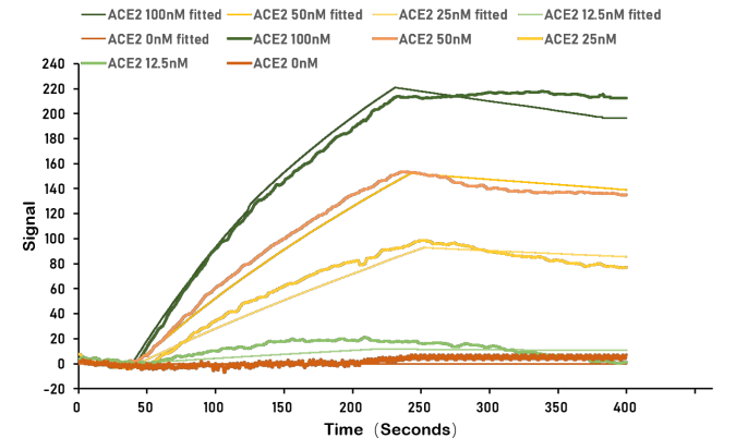 Human Angiotensin-converting enzyme 2 protein