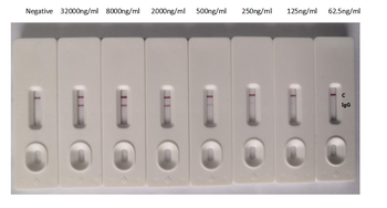 N Recombinant Monoclonal Antibody