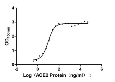 Human Novel Coronavirus Spike glycoprotein(S) protein