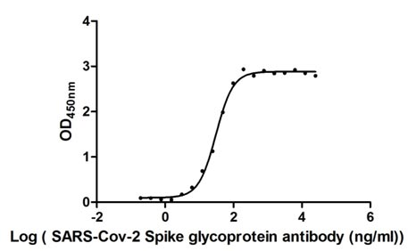 Human Novel Coronavirus Spike glycoprotein(S) protein