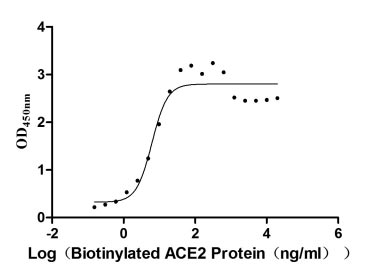 Human Novel Coronavirus Spike glycoprotein(S) protein