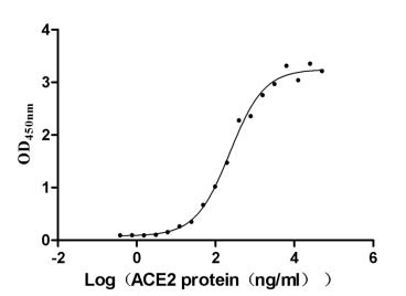 Human Novel Coronavirus Spike glycoprotein(S) protein
