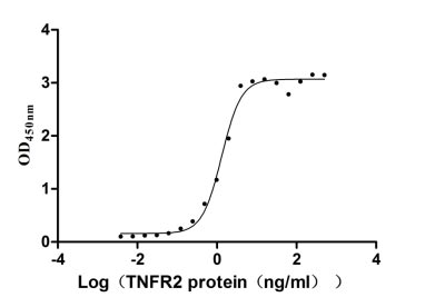 Human TNFRSF1B protein