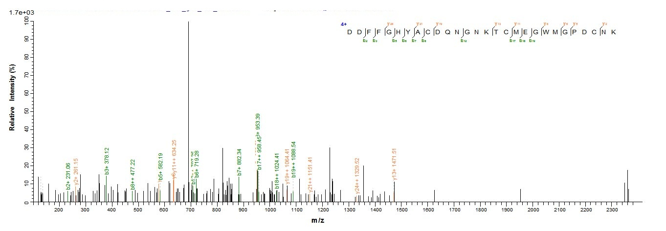 Mouse Jag1 protein