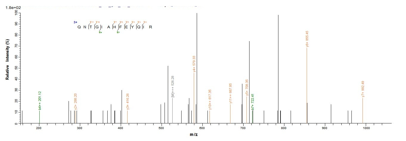 Mouse Jag1 protein
