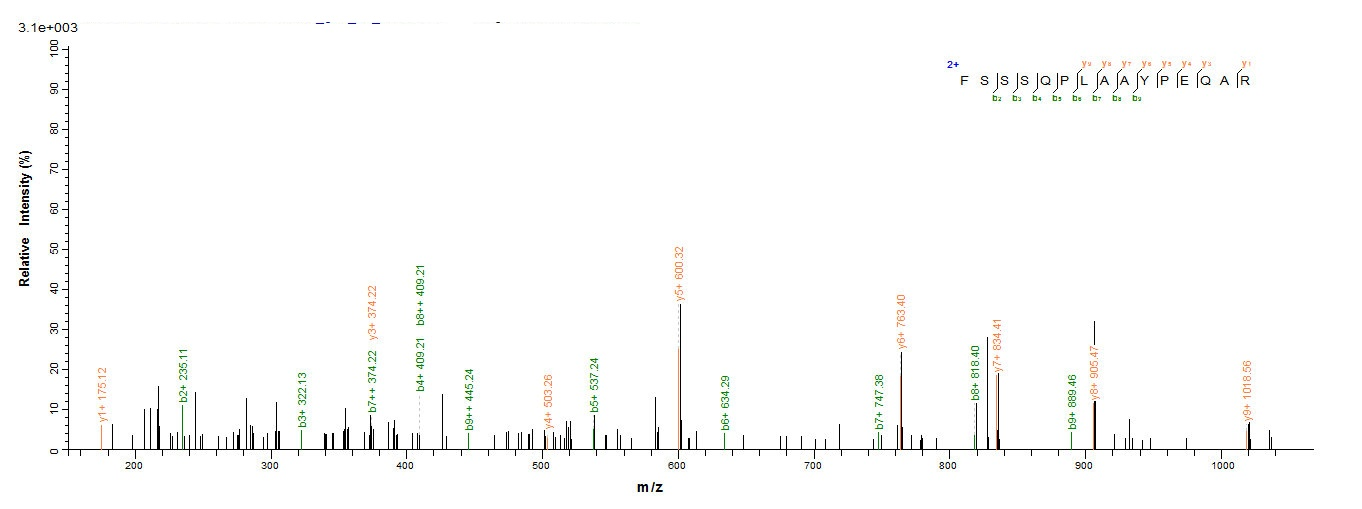Recombinant Alginate lyase(algL)