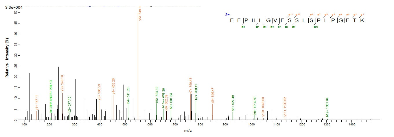 Human O95822 protein