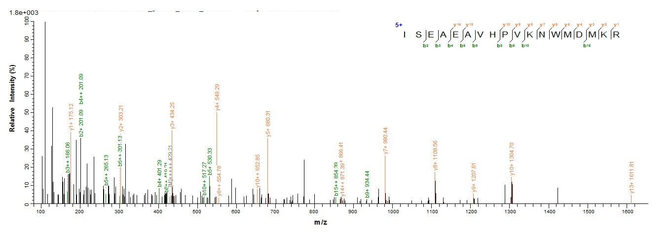 Human O95822 protein