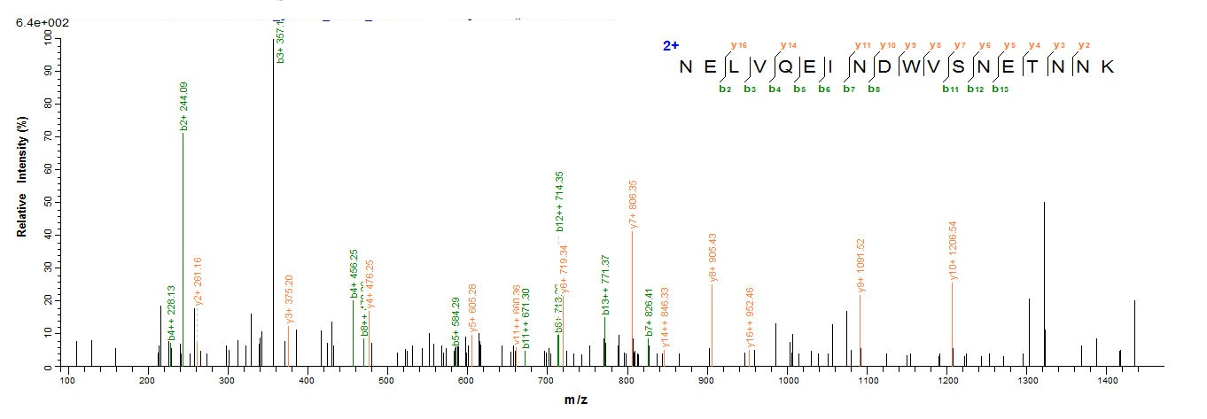 Animal Putative serine protease inhibitor protein