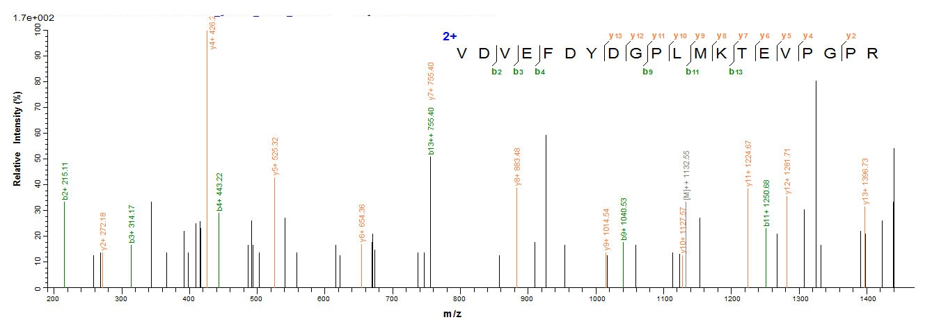 Human ABAT protein