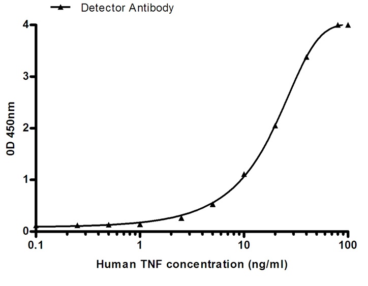 TNF alpha (5F3) Mouse mAb