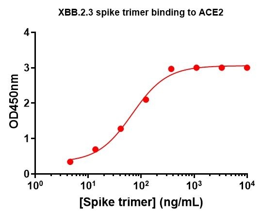 SARS-COV-2-XBB.2.3 Omicron Variant Recombinant Spike Trimer His Tag