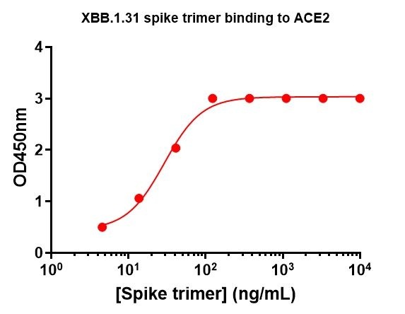 SARS-COV-2-XBB.1.31 Omicron Variant Recombinant Spike Trimer His Tag