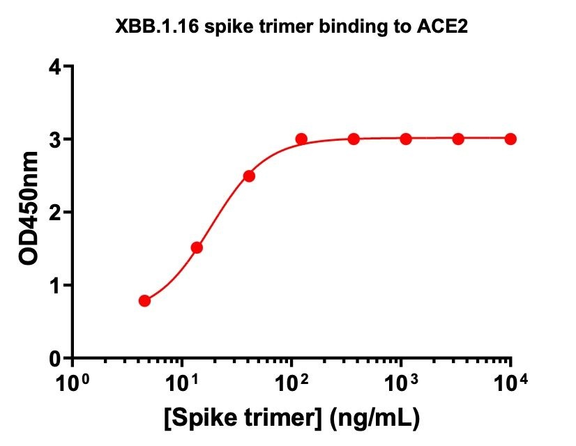 SARS-COV-2-XBB.1.16 Omicron Variant Recombinant Spike Trimer His Tag