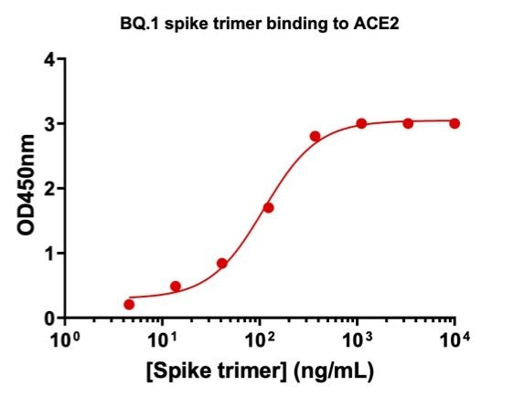 SARS-CoV2 BQ.1 Omicron Variant Recombinant Spike Trimer His Tag