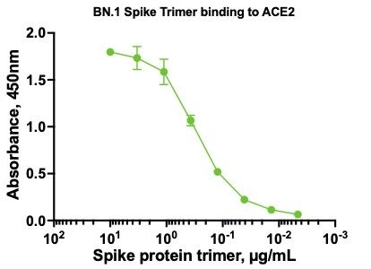 SARS-CoV-2 BN.1 Omicron Variant Recombinant Spike Trimer His Tag