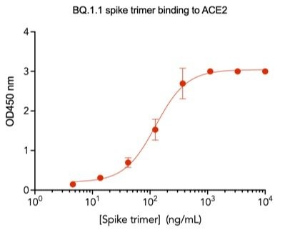 SARS-CoV2 BQ.1.1 Omicron Variant Recombinant Spike Trimer His Tag