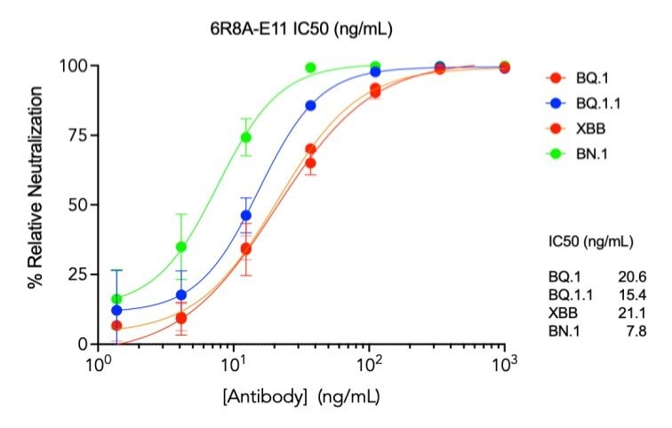 SARS-CoV-2 6R8A-E11 Human Neutralizing mAb Antibody