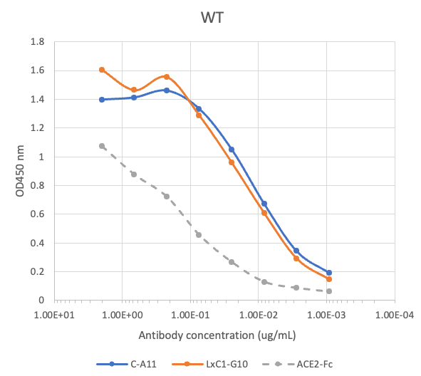 SARS-CoV2 Human Neutralizing mAb (LxC1-G10) Antibody