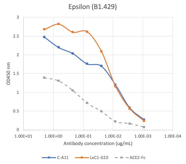 SARS-CoV2 Human Neutralizing mAb (LxC1-G10) Antibody