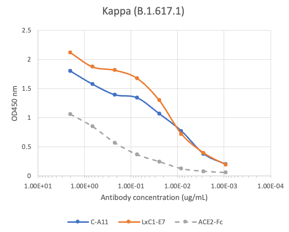 SARS-CoV2 Human mAb (LxC1-E7) Antibody