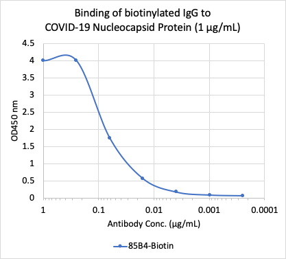 SARS-CoV-2 Nucleoprotein (NP) (85B4) rabbit mAb Biotin Conjugate Antibody