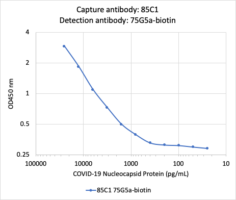 SARS-CoV-2 Nucleoprotein (NP) (85C1) rabbit mAb Antibody