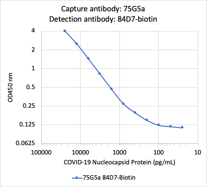 Recommended Pair - SARS-CoV-2 Nucleoprotein (NP) (75G5a) rabbit mAb Antibody