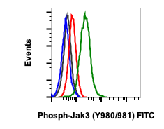 Phospho-Jak3 (Tyr980/981) (E10) rabbit mAb FITC conjugate Antibody