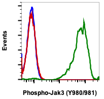 Phospho-Jak3 (Tyr980/981) (E10) rabbit mAb Antibody