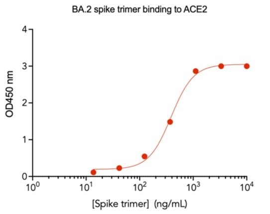 SARS-CoV-2 BA.2 Omicron Variant Recombinant Spike Trimer His Tag