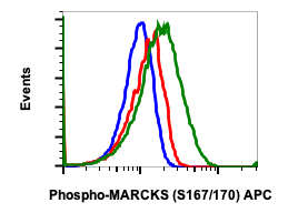 Phospho-MARCKS (Ser167/170) (C9) rabbit mAb APC conjugate Antibody