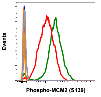 Phospho-MCM2 (Ser139) (B12) rabbit mAb Antibody