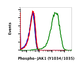 Phospho-Jak1 (Tyr1022/1023) (F11) rabbit mAb Antibody
