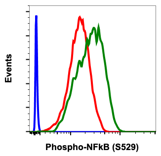 Phospho-NFkB p65 (Ser529) (H3) rabbit mAb Antibody