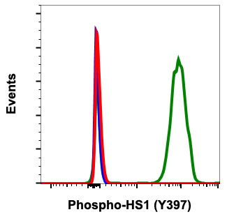 Phospho-HS1 (Tyr397) (F12) rabbit mAb Antibody