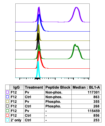 Phospho-HS1 (Tyr397) (F12) rabbit mAb Antibody