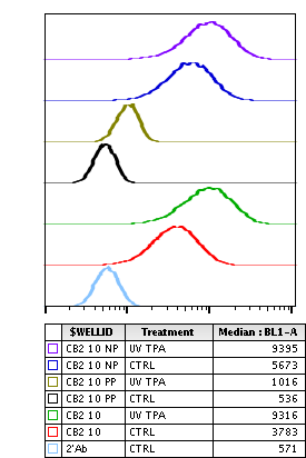 Phospho-HSP27 (Ser82) (CB2) rabbit mAb Antibody