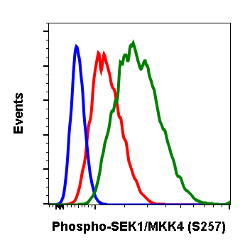 Phospho-SEK1/MKK4 (Ser257) (C5) rabbit mAb Antibody