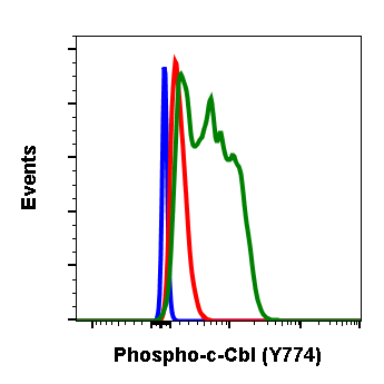 Phospho-c-Cbl (Tyr774) (R4C5) rabbit mAb Antibody