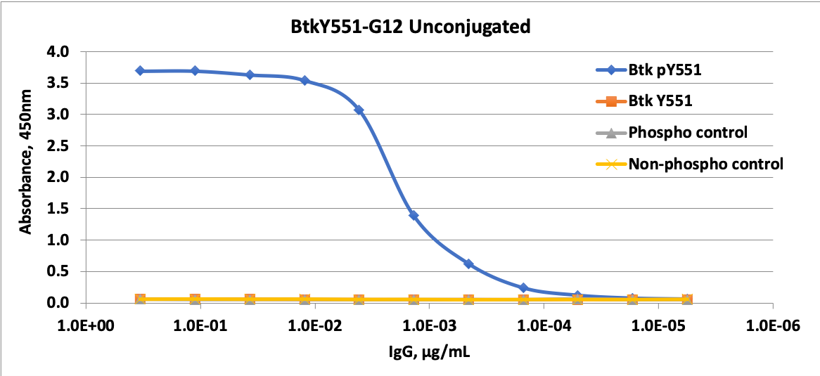 Phospho-Btk (Tyr551) (G12) rabbit mAb Antibody