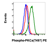 Phospho-PKCa (Thr497) (F1) rabbit mAb PE Conjugate Antibody
