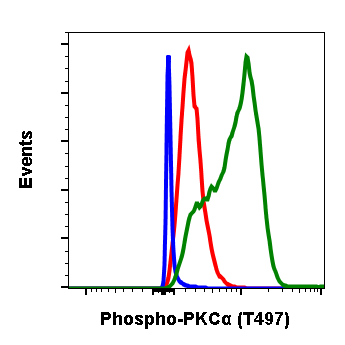 Phospho-PKCa (Thr497) (F1) rabbit mAb Antibody