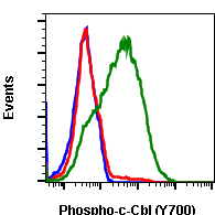 Phospho-c-Cbl (Tyr700) (E1) rabbit mAb SureLight488 conjugate Antibody