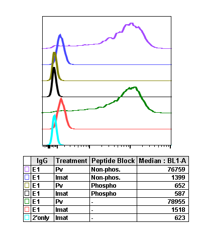 Phospho-c-Cbl (Tyr700) (E1) rabbit mAb Antibody